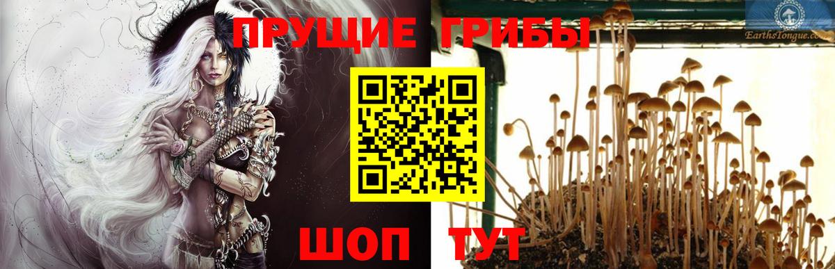 Псилоцибиновые грибы MAGIC MUSHROOMS Ставрополь
