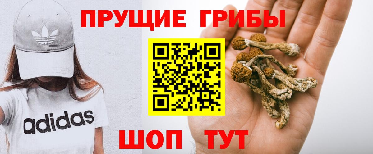 Ставрополь  Псилоцибиновые грибы прущие грибы  Вход с VPN 